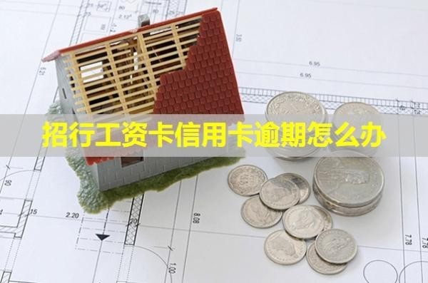 招行工資卡信用卡逾期怎么辦