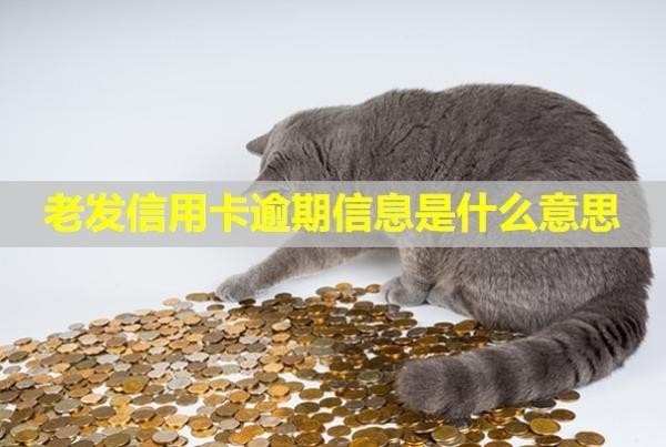 老發(fā)信用卡逾期信息是什么意思？催收會上門嗎？