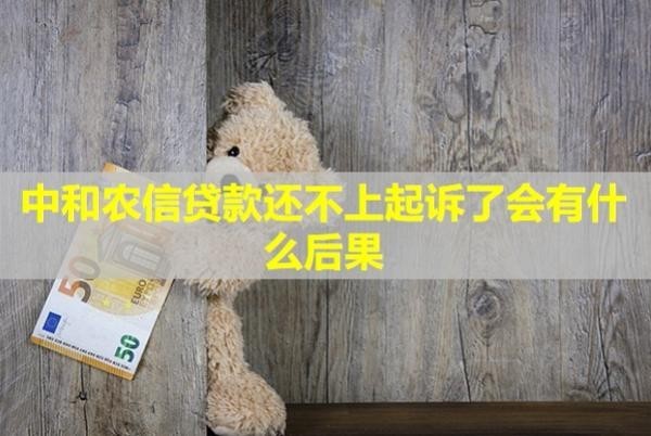 中和農(nóng)信貸款還不上起訴了會(huì)有什么后果？怎么辦？