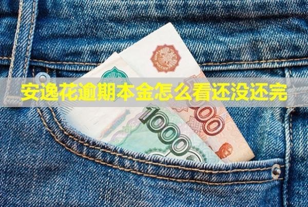 安逸花逾期本金怎么看還沒還完？怎么樣協(xié)商？