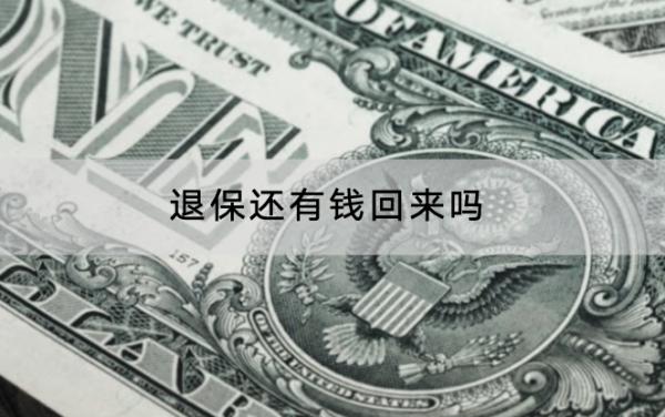 退保還有錢回來嗎
