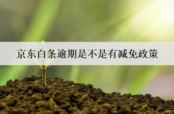 京東白條逾期是不是有減免政策？