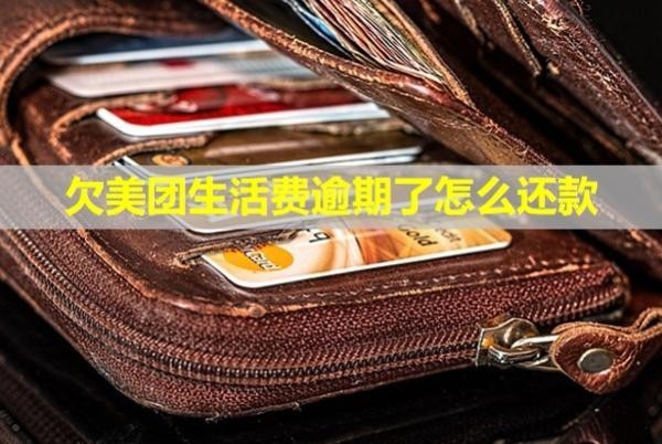 欠美團生活費逾期了怎么還款？門催收是不是真的？