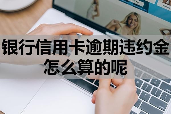 銀行信用卡逾期違約金怎么算的呢？能申請(qǐng)減免嗎？
