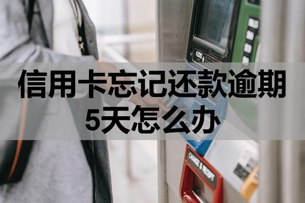 信用卡忘記還款逾期5天怎么辦？注意這幾點！