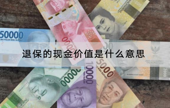 退保的現(xiàn)金價(jià)值是什么意思