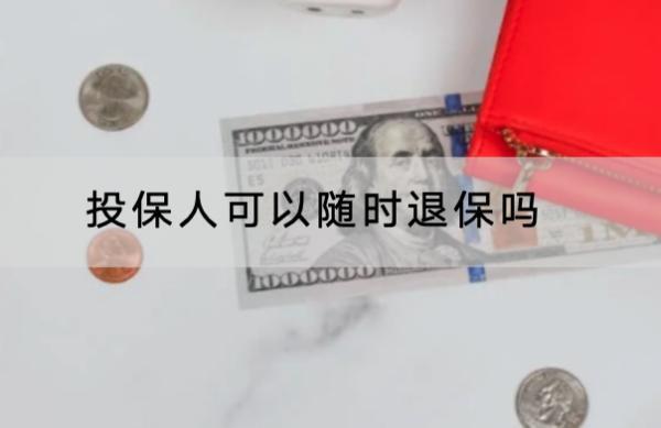 投保人可以隨時(shí)退保嗎