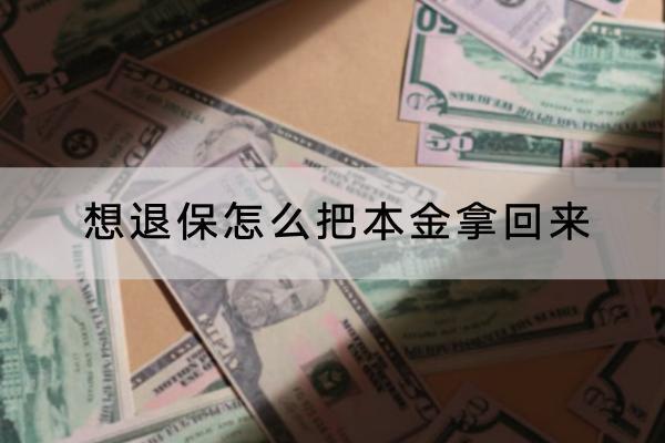 想退保怎么把本金拿回來