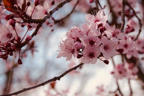 室內(nèi)裝修綜合保險—保險條款解讀！