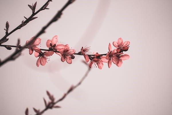 保險(xiǎn)一年后去退保有影響嗎？對(duì)投保人信譽(yù)有影響嗎？