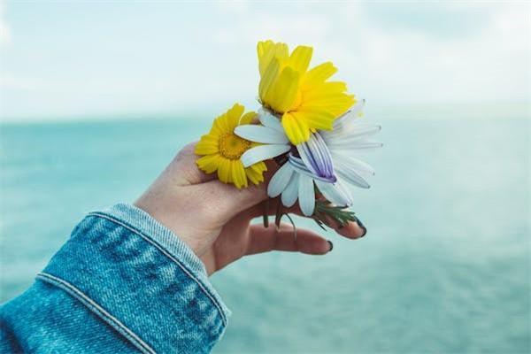 專家解讀車輛保險法！教你買幾種車險就夠了~