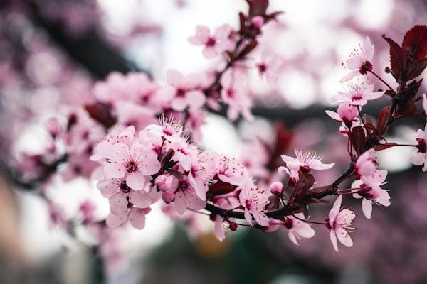 退保險(xiǎn)需要怎么辦理？退保險(xiǎn)都要注意什么？
