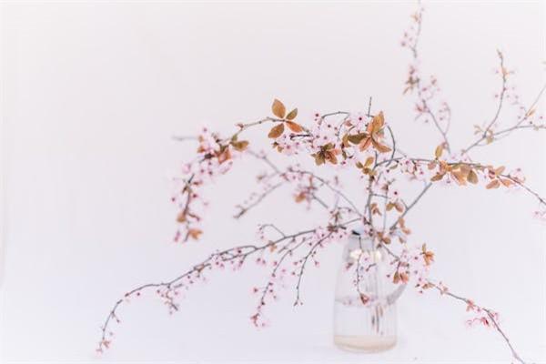 社保有生育險(xiǎn)嗎？怎么查看生育險(xiǎn)交了沒？