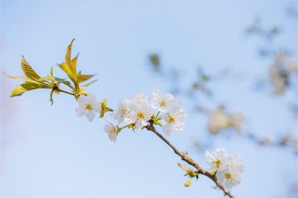 保險(xiǎn)退款要怎么處理？怎么避免保險(xiǎn)退保陷阱？