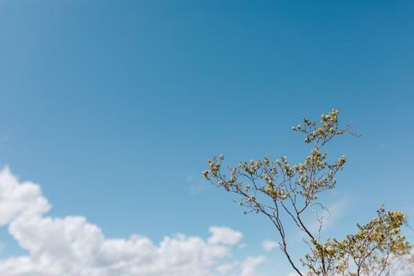 保險(xiǎn)退款怎么辦理？規(guī)定是怎么樣的？