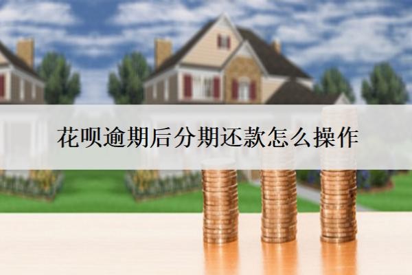 花唄逾期后分期還款怎么操作