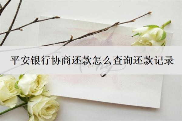 平安銀行協(xié)商還款怎么查詢還款記錄？怎樣和平安銀行協(xié)商還款？
