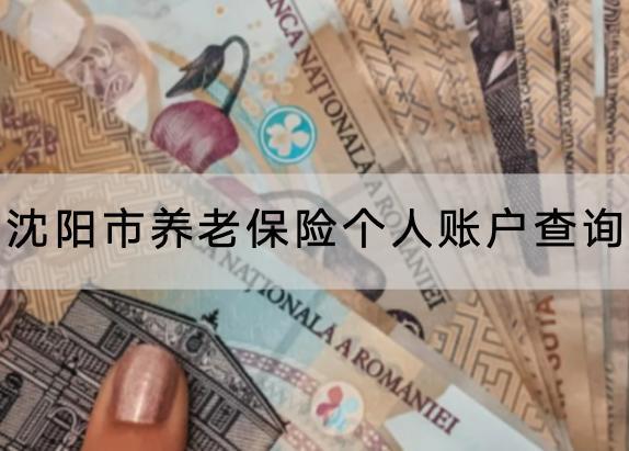 沈陽市養(yǎng)老保險個人賬戶查詢怎么查？怎么交？