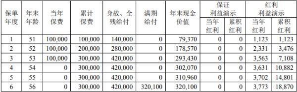 中荷金如意E款兩全保險（分紅型）滿期返多少？附基本條款介紹