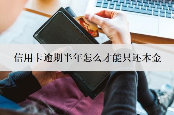 信用卡逾期半年怎么才能只還本金