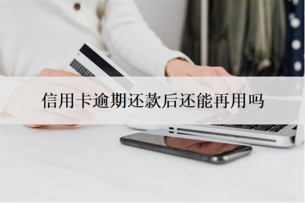 信用卡逾期還款后還能再用嗎？怎么自己申請停息掛賬？