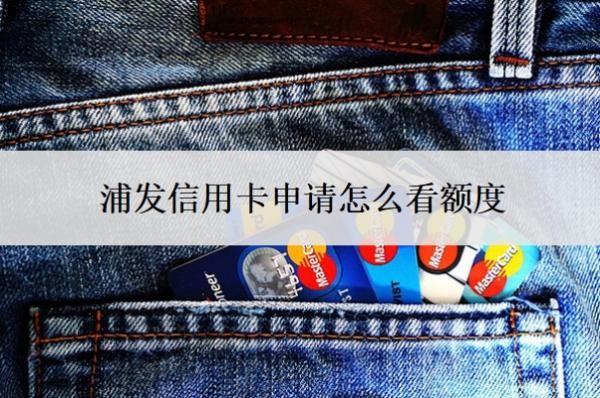 浦發(fā)信用卡申請?jiān)趺纯搭~度