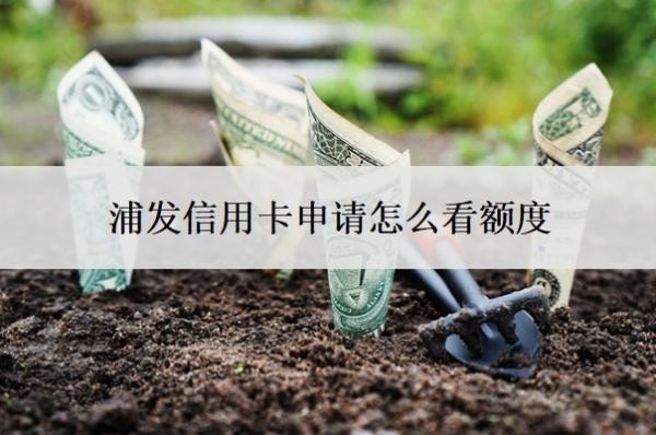 浦發(fā)信用卡申請?jiān)趺纯搭~度