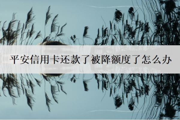 平安信用卡還款了被降額度了怎么辦