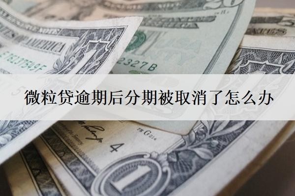 微粒貸逾期后分期被取消了怎么辦？逾期一次多久可以恢復借款？