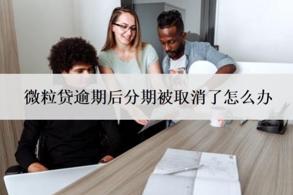 微粒貸逾期后分期被取消了怎么辦