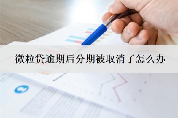 微粒貸逾期后分期被取消了怎么辦