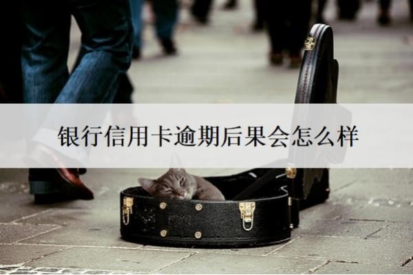 銀行信用卡逾期后果