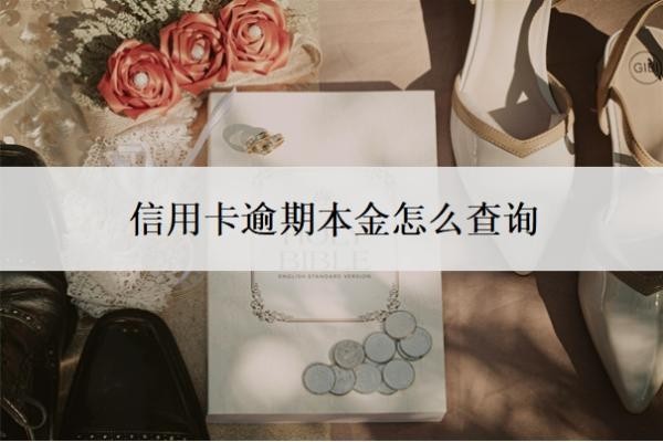 信用卡逾期本金怎么查詢