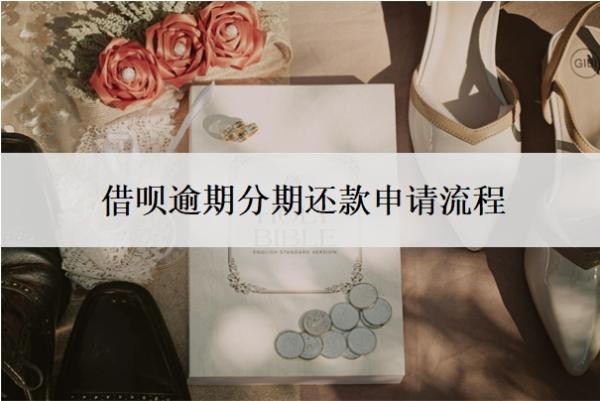 借唄逾期分期還款申請(qǐng)流程