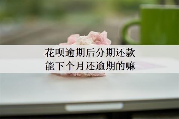 花唄逾期后分期還款能下個月還逾期的嘛
