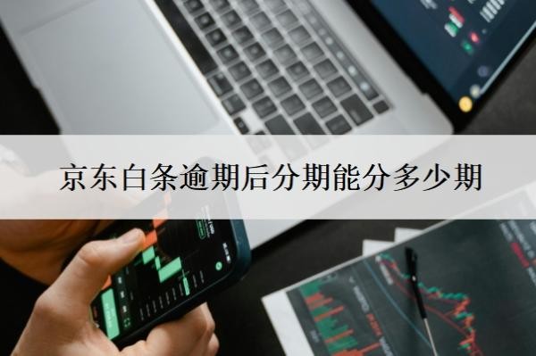 京東白條逾期后分期能分多少期