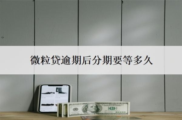 微粒貸逾期后分期要等多久