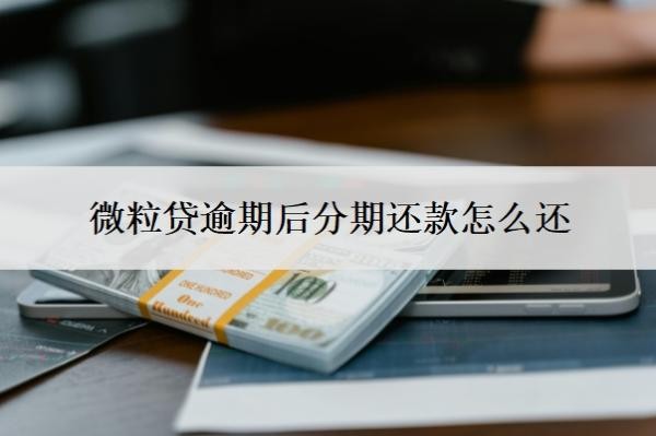 微粒貸逾期后分期還款怎么還