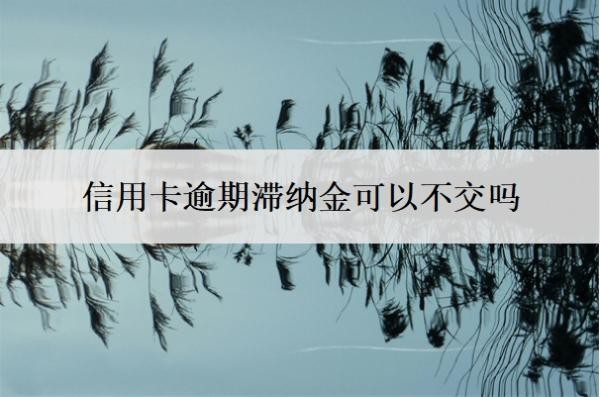 信用卡逾期滯納金可以不交嗎