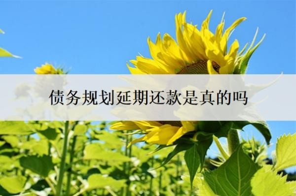 債務(wù)規(guī)劃延期還款是真的嗎