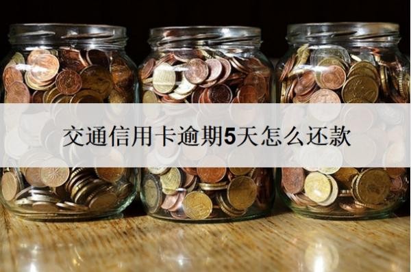 交通信用卡逾期5天怎么還款
